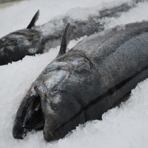 King Salmon by the pound