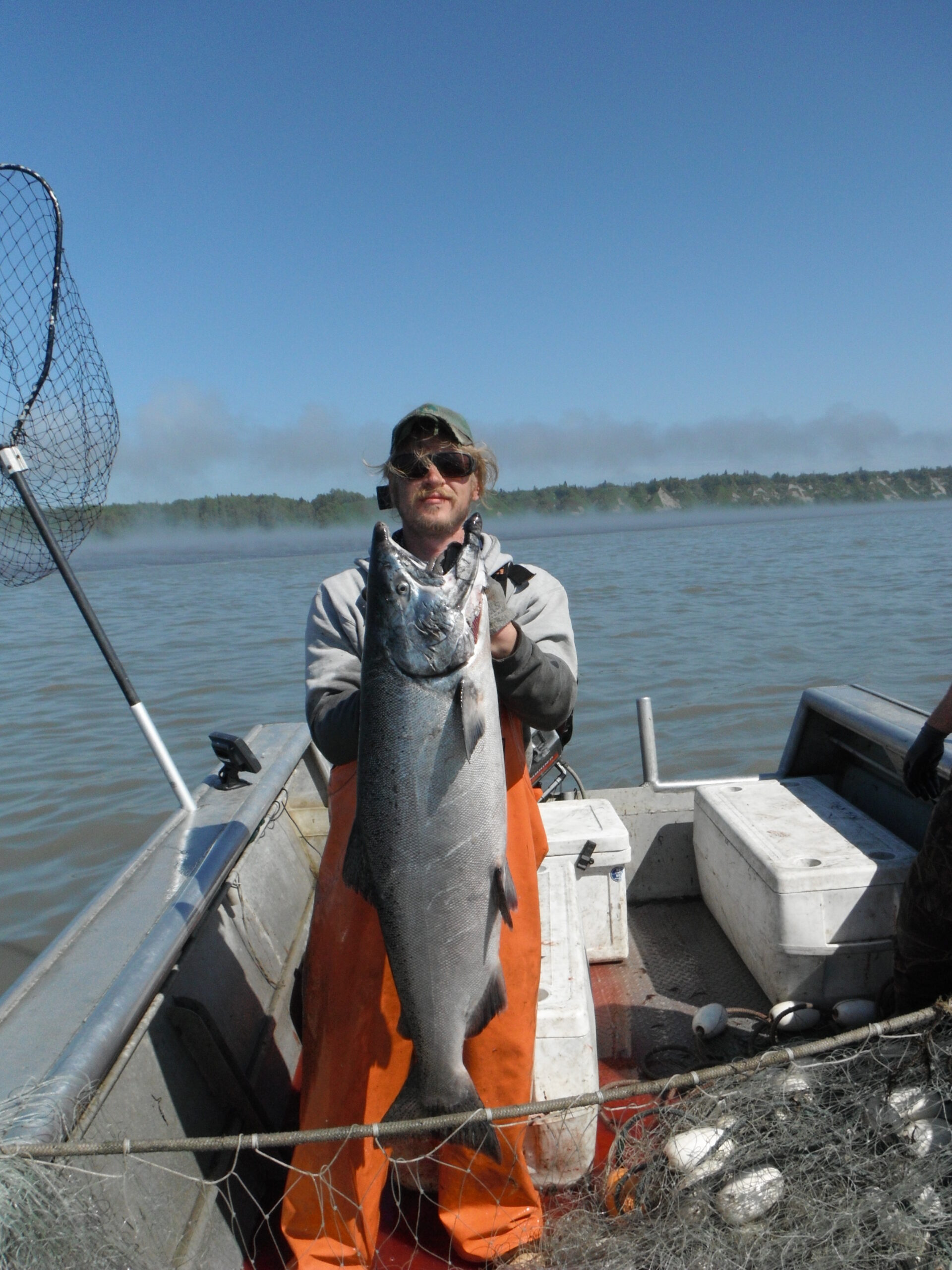 King Salmon by the pound - Image 6