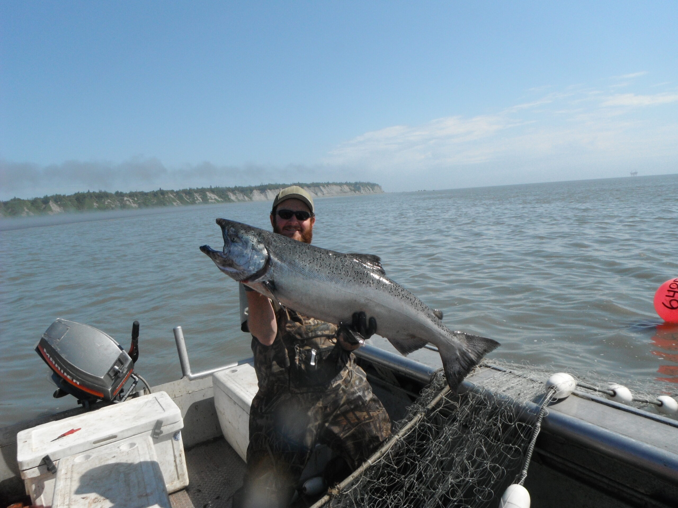 King Salmon by the pound - Image 3