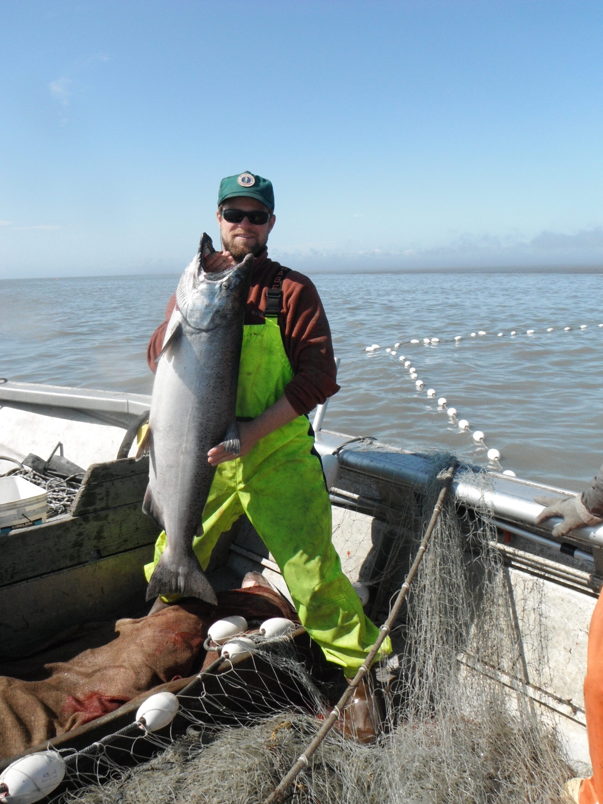King Salmon by the pound - Image 2