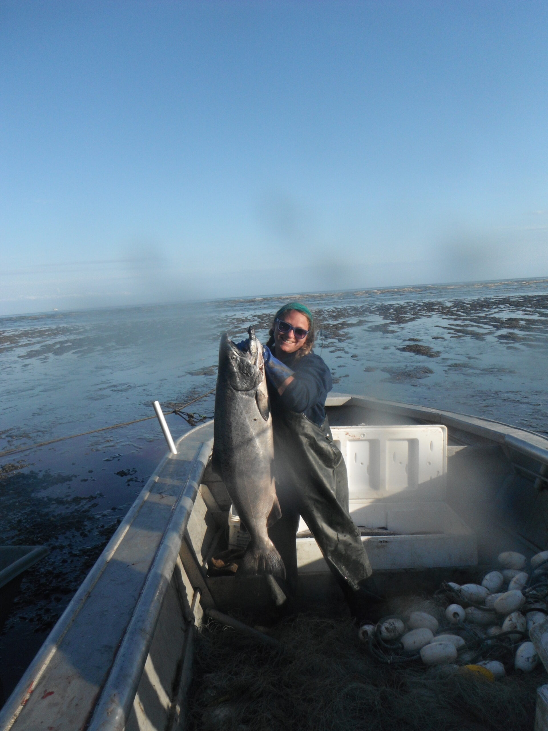 King Salmon by the pound - Image 4